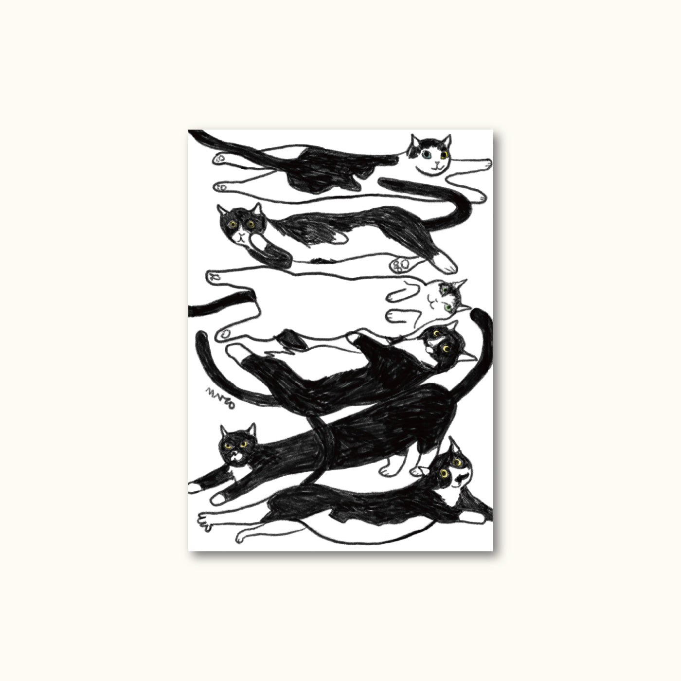 Postcard - The Six Cats