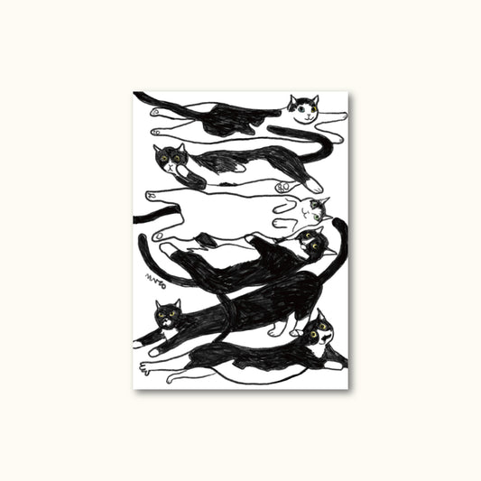 Postcard - The Six Cats